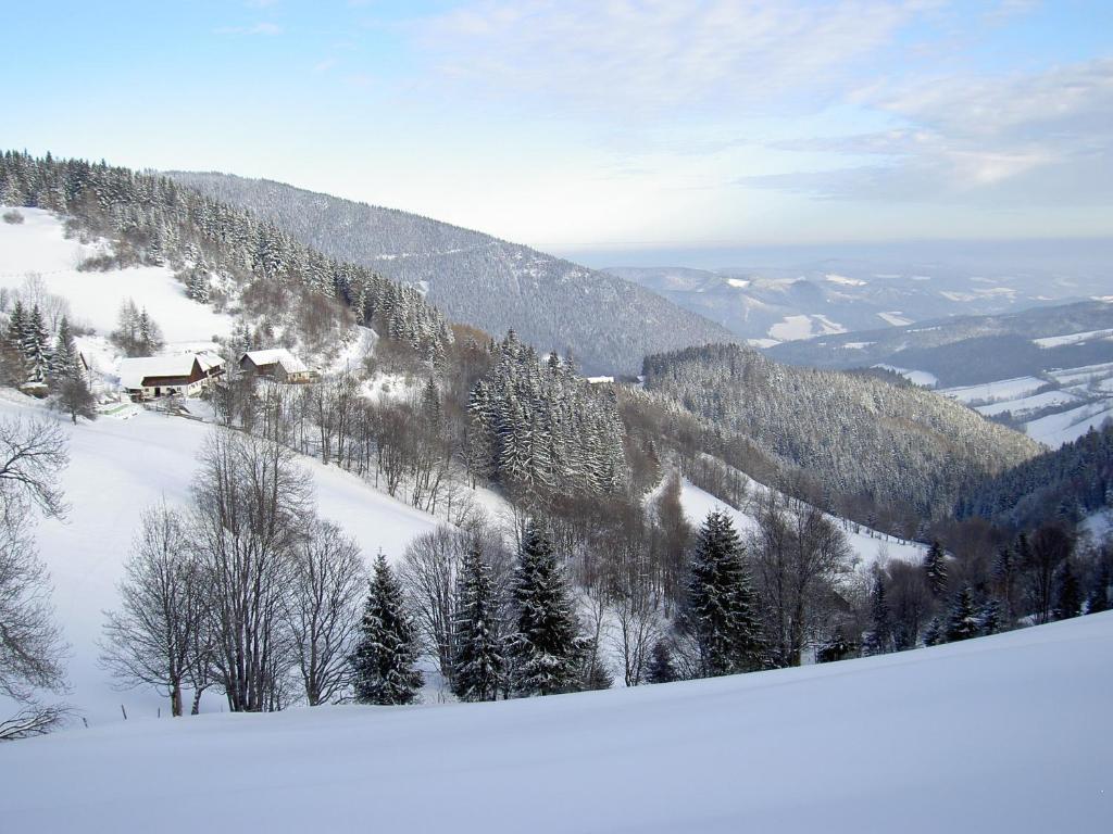 Almbauer Morgenbesser Apartment Trattenbach (Lower Austria)